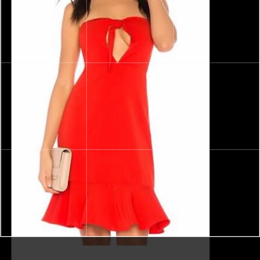 Red endless rose strapless dress-WITH TAGS!!
